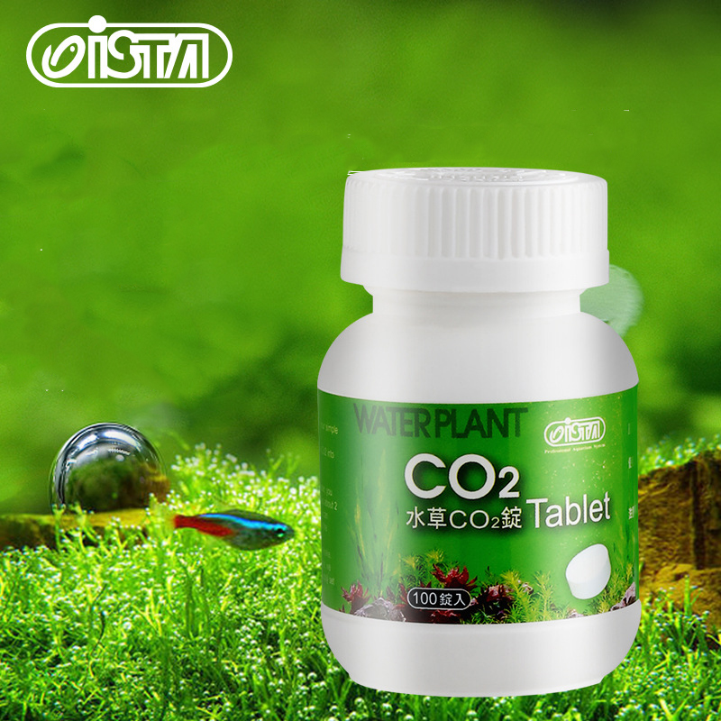 Planted Aquarium Without Fish - ISTA Cá Bể Cá CO2 Máy