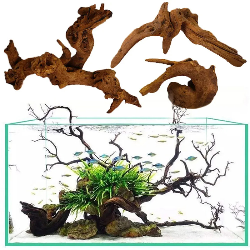 Aquarium Plant Guide - Hot Selling New Fish Tank Decoration