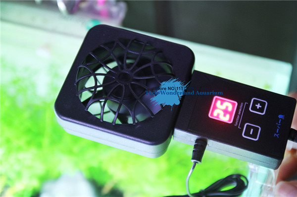 Planted Aquarium Equipment - Mini nano clip treo trên quạt