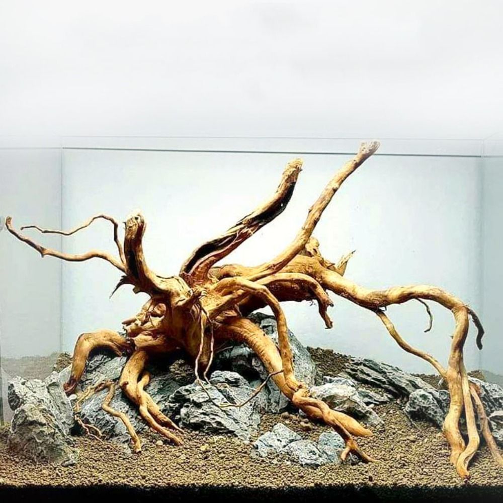 Aquarium Plant Guide - 20-25CM Large Aquarium Driftwood Natural Fish