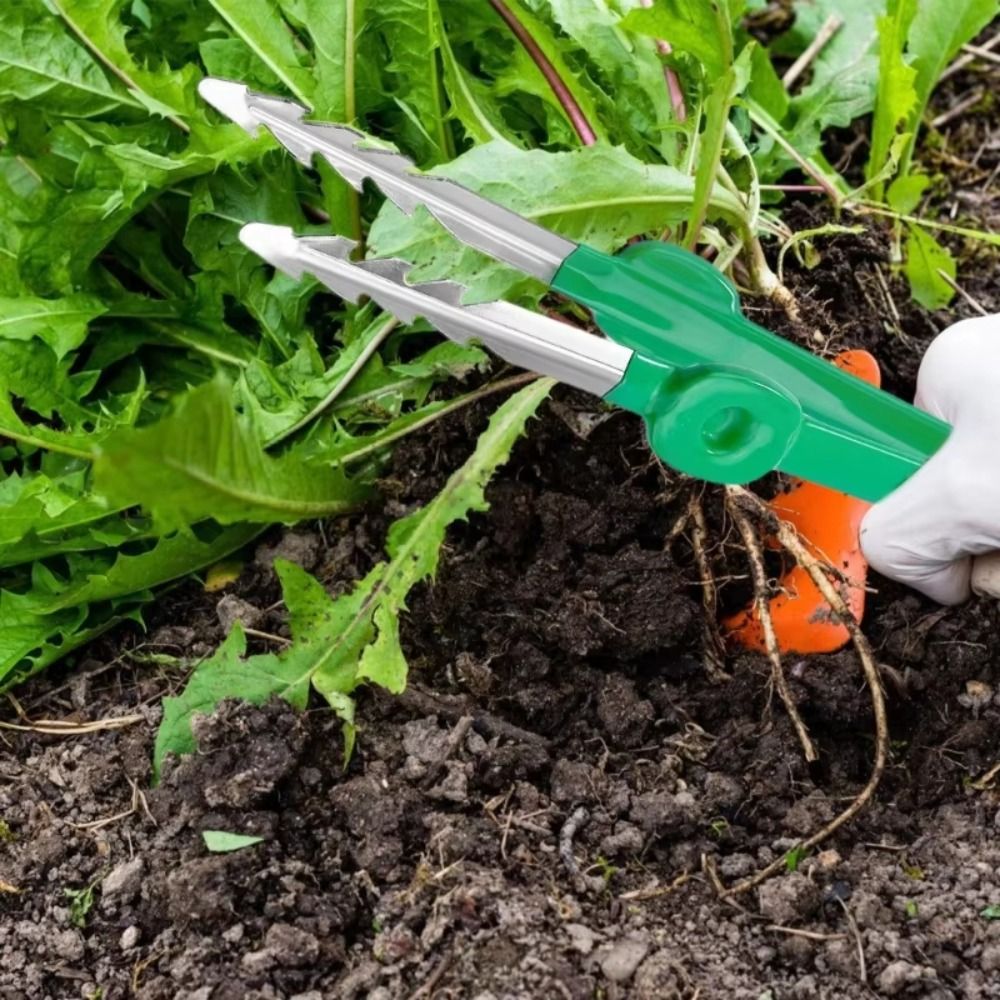 Planted Clip Tweezers - Stainless Steel Gardening Tweezers Multifunctional Precision