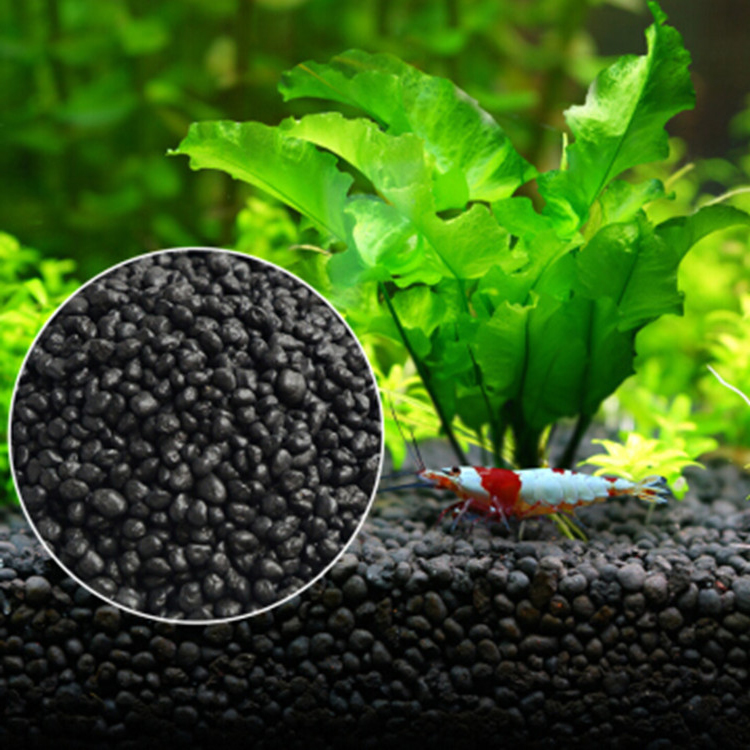 Aquarium Plant Root Tabs - Bể Cá Cảnh Vật Có Hạt