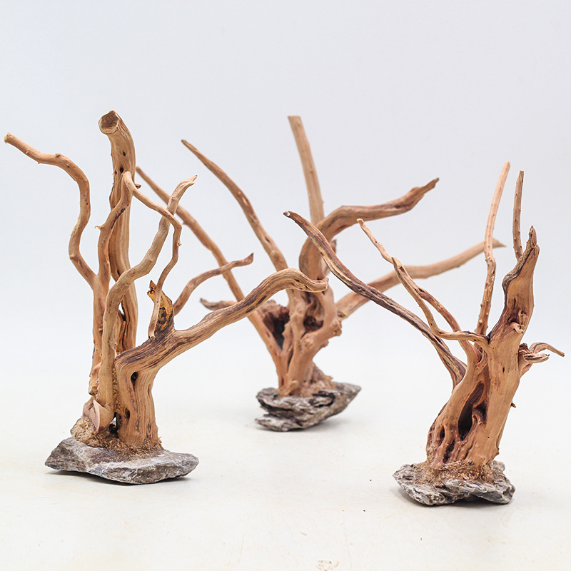 Aquarium Plant Root Tabs - 1 Bể Cá Cảnh Quan Gỗ