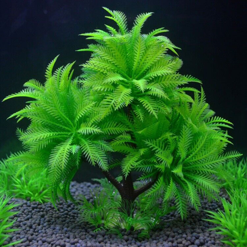 Aquarium Plant Guide - Aquarium Decorative Simulation Plant Aquatic Water