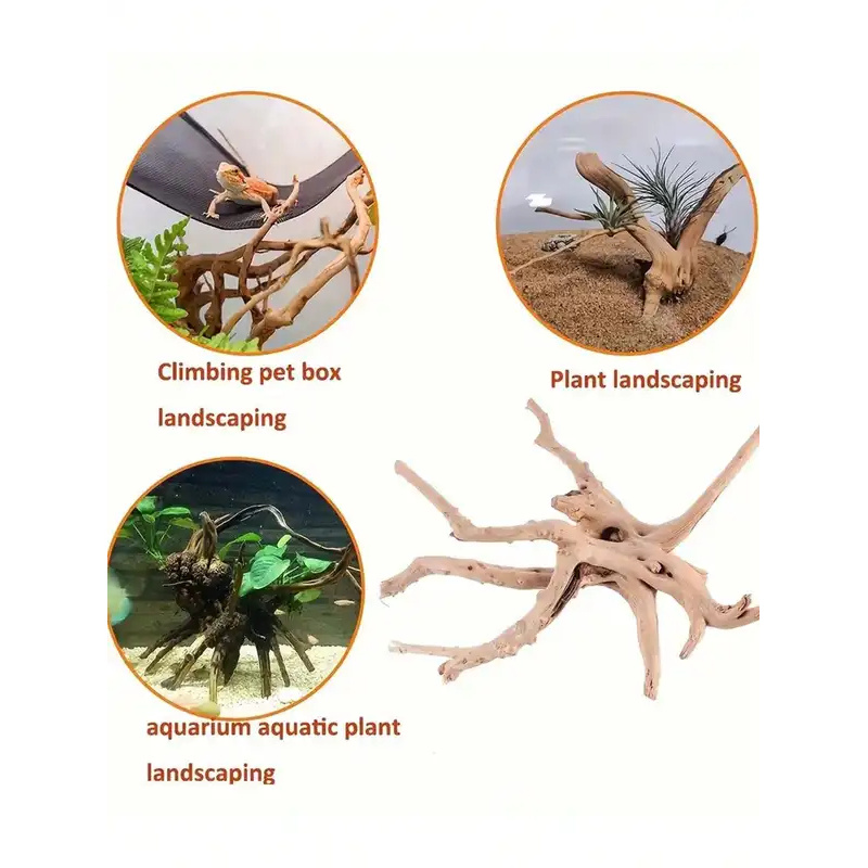 Natural Driftwood for Aquarium - đánh giá và giá Aquarium Plant Guide