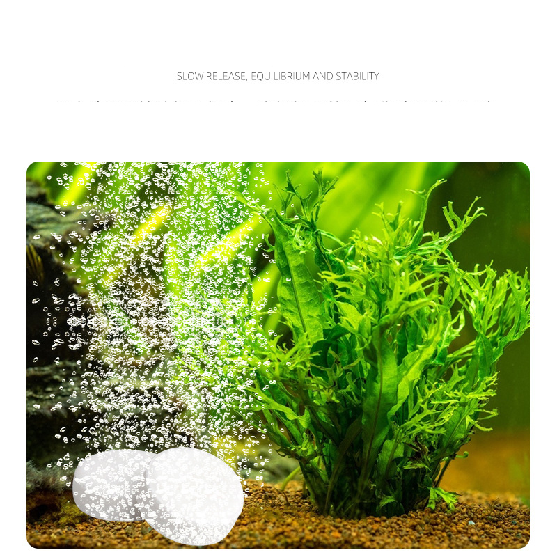 ISTA Cá Bể Cá CO2 Máy Tính Bản - đánh giá và giá Planted Aquarium Without Fish