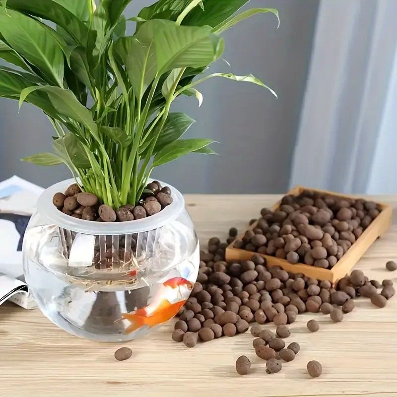 Lightweight & Breathable Terra - đánh giá và giá Aquarium Planted Plants