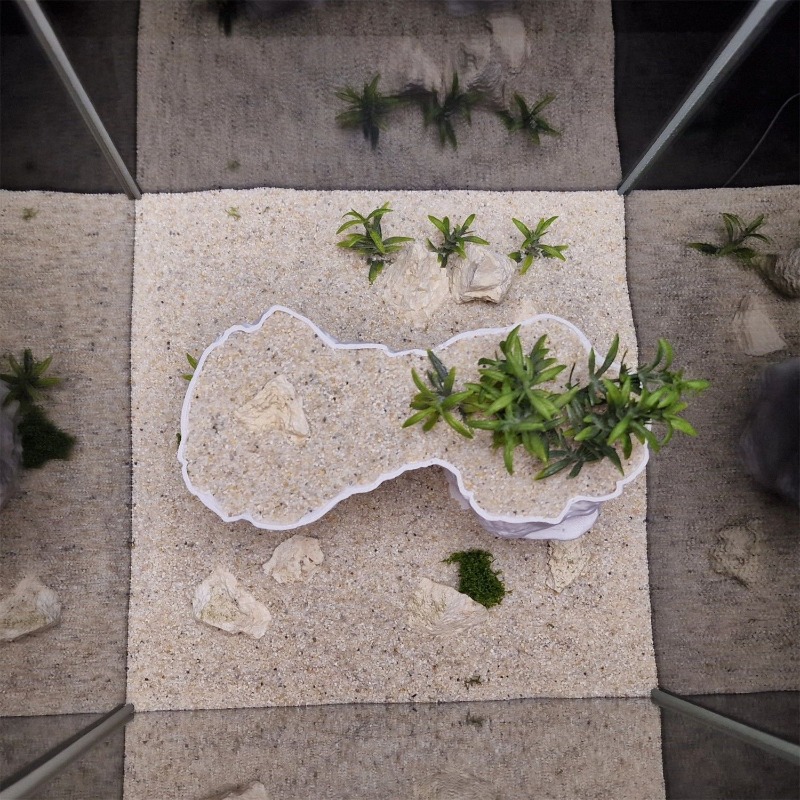 Aquarium 3D Printed Planting B - đánh giá và giá Aquarium Planted Tank Soil