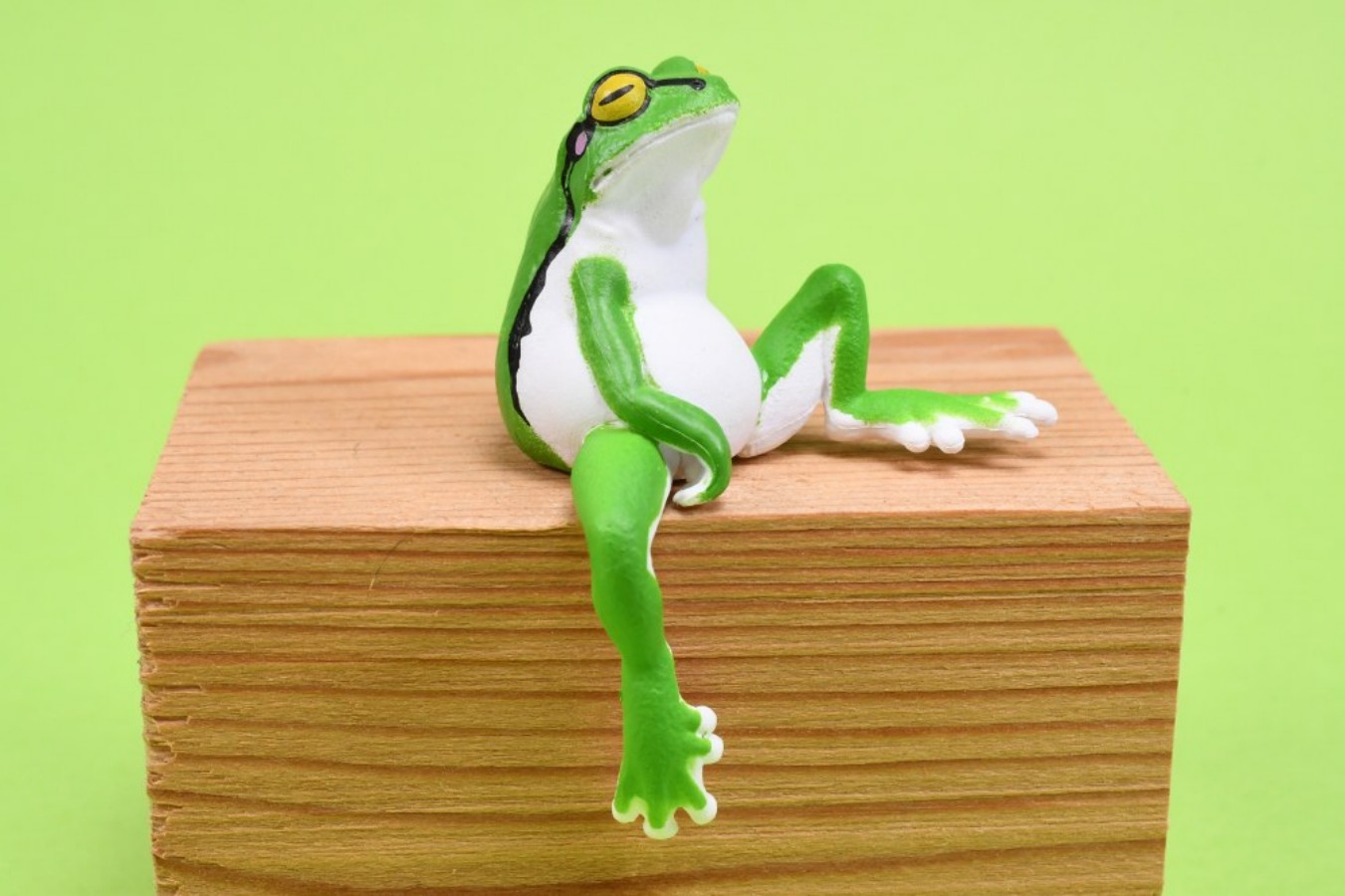 YELL Capsule Toys Kawaii Resti - đánh giá và giá Aquarium Plant Guide