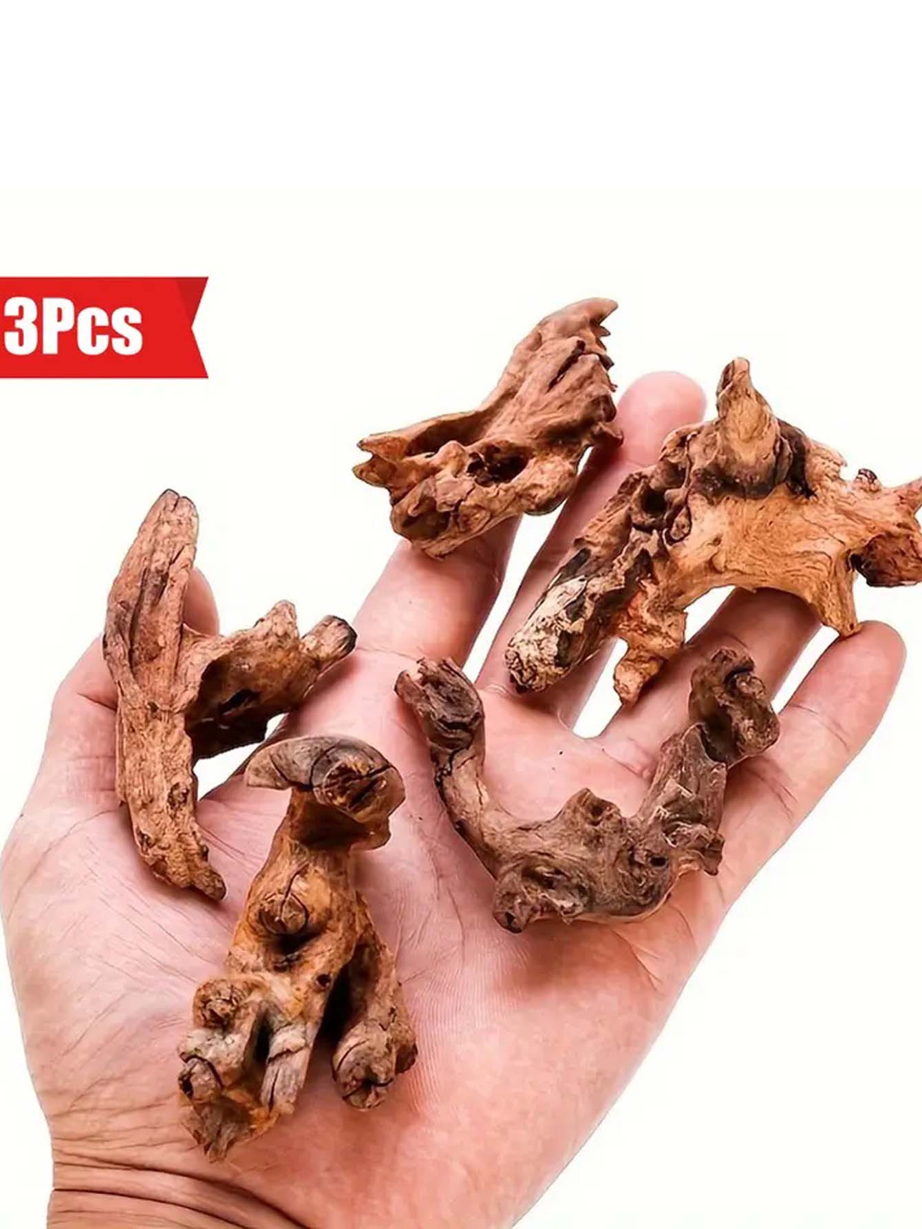5-10CM Small Natural Tree Trun - đánh giá và giá Aquarium Plant Guide