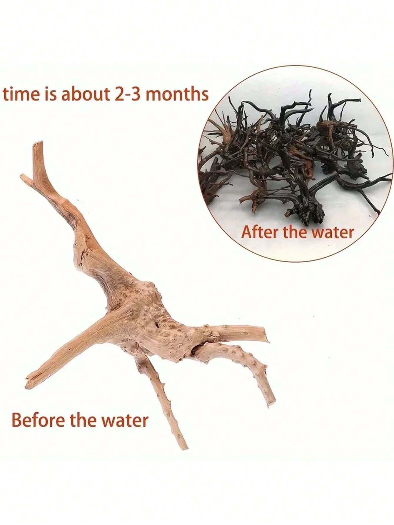 5-10CM Small Natural Tree Trun - đánh giá và giá Aquarium Plant Guide