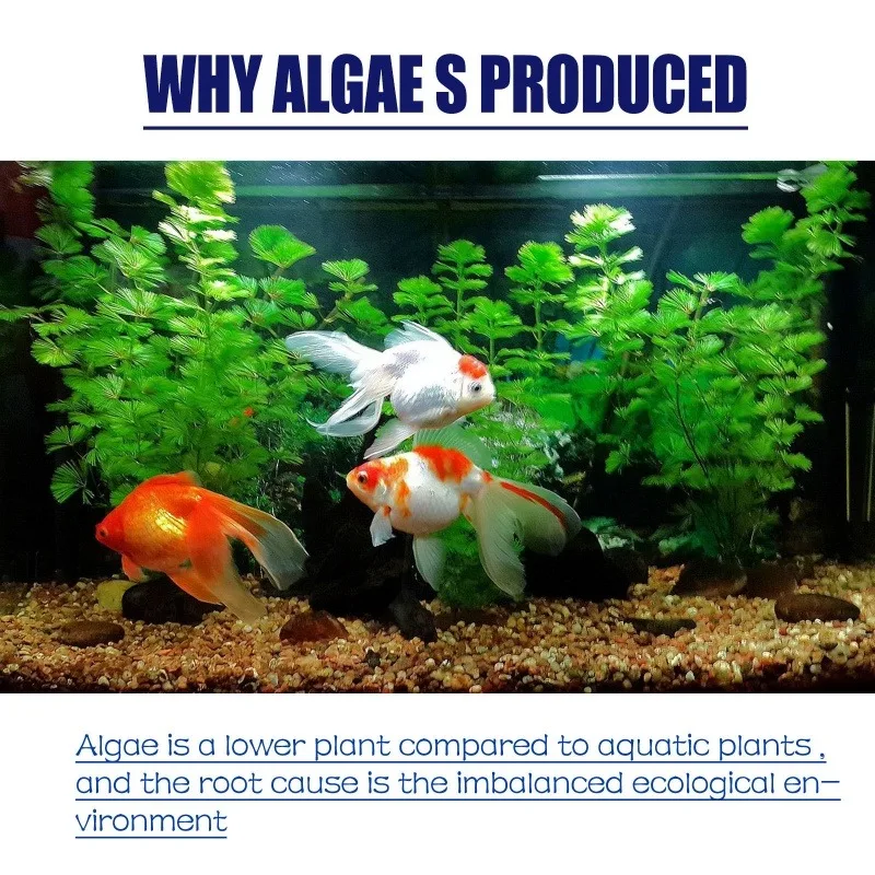 50g High Efficiency Algaecide  - đánh giá và giá Aquarium Plant Fertilizer