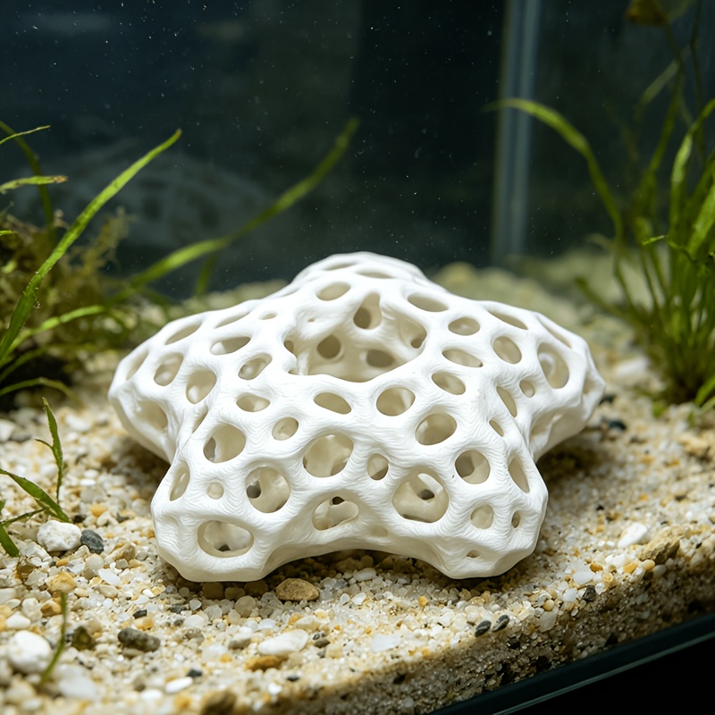 Hollowed-out Five-Pointed Star - đánh giá và giá Planted Aquarium Without Fish
