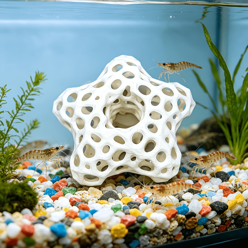 Hollowed-out Five-Pointed Star - đánh giá và giá Planted Aquarium Without Fish