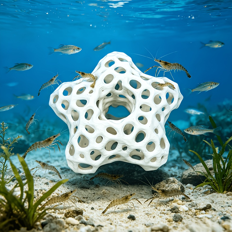 Hollowed-out Five-Pointed Star - đánh giá và giá Planted Aquarium Without Fish