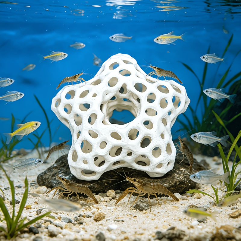 Hollowed-out Five-Pointed Star - đánh giá và giá Planted Aquarium Without Fish