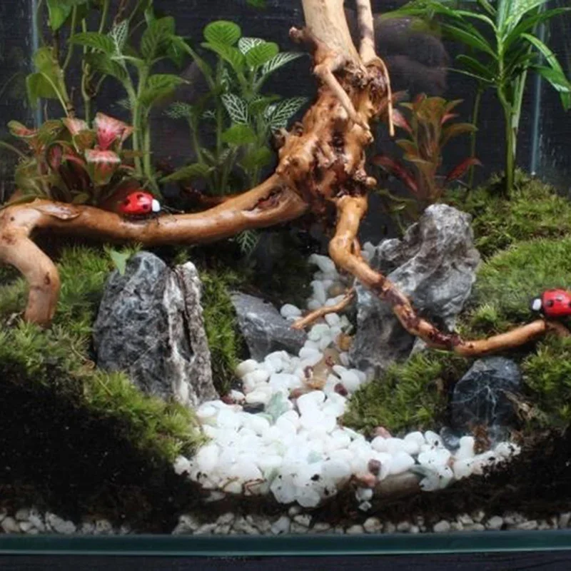 Natural Tree Trunk Driftwood A - đánh giá và giá Aquarium Plant Root Tabs