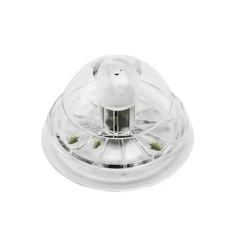 2026 New 6/8CM Clear Plastic S - đánh giá và giá Aquarium Planted Plants