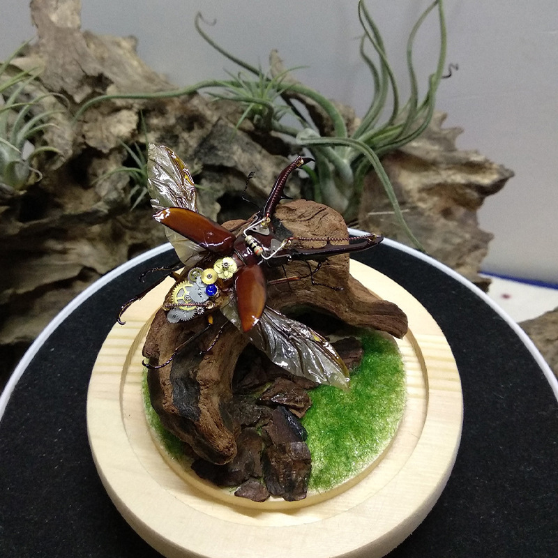 Hot Selling New Fish Tank Deco - đánh giá và giá Aquarium Plant Guide