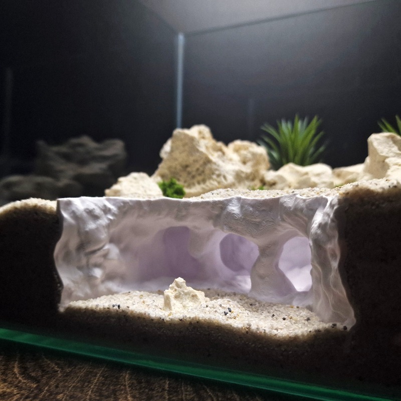 3D Printed Forked Cave Aquariu - đánh giá và giá Aquarium Plant Root Tabs
