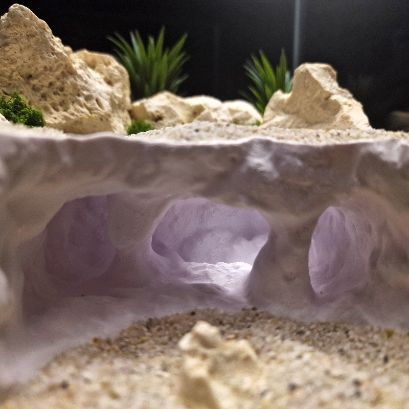 3D Printed Forked Cave Aquariu - đánh giá và giá Aquarium Plant Root Tabs