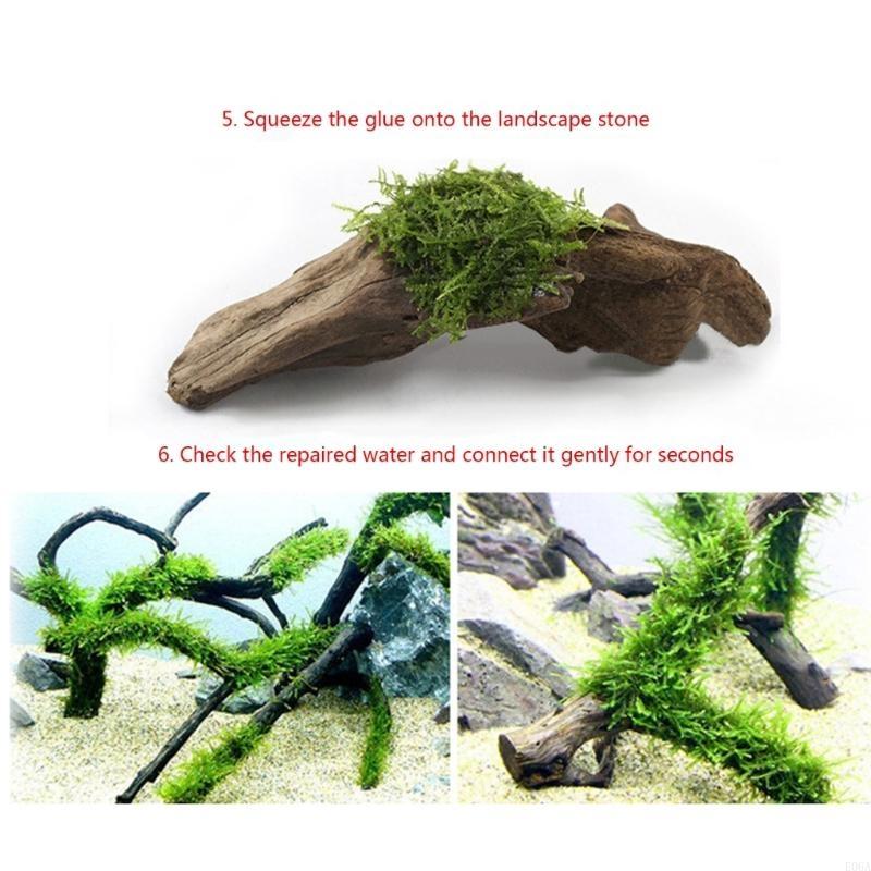 Bộ 25 dán hồ cá cho gỗ chìm hô - đánh giá và giá Aquarium Plant Glue