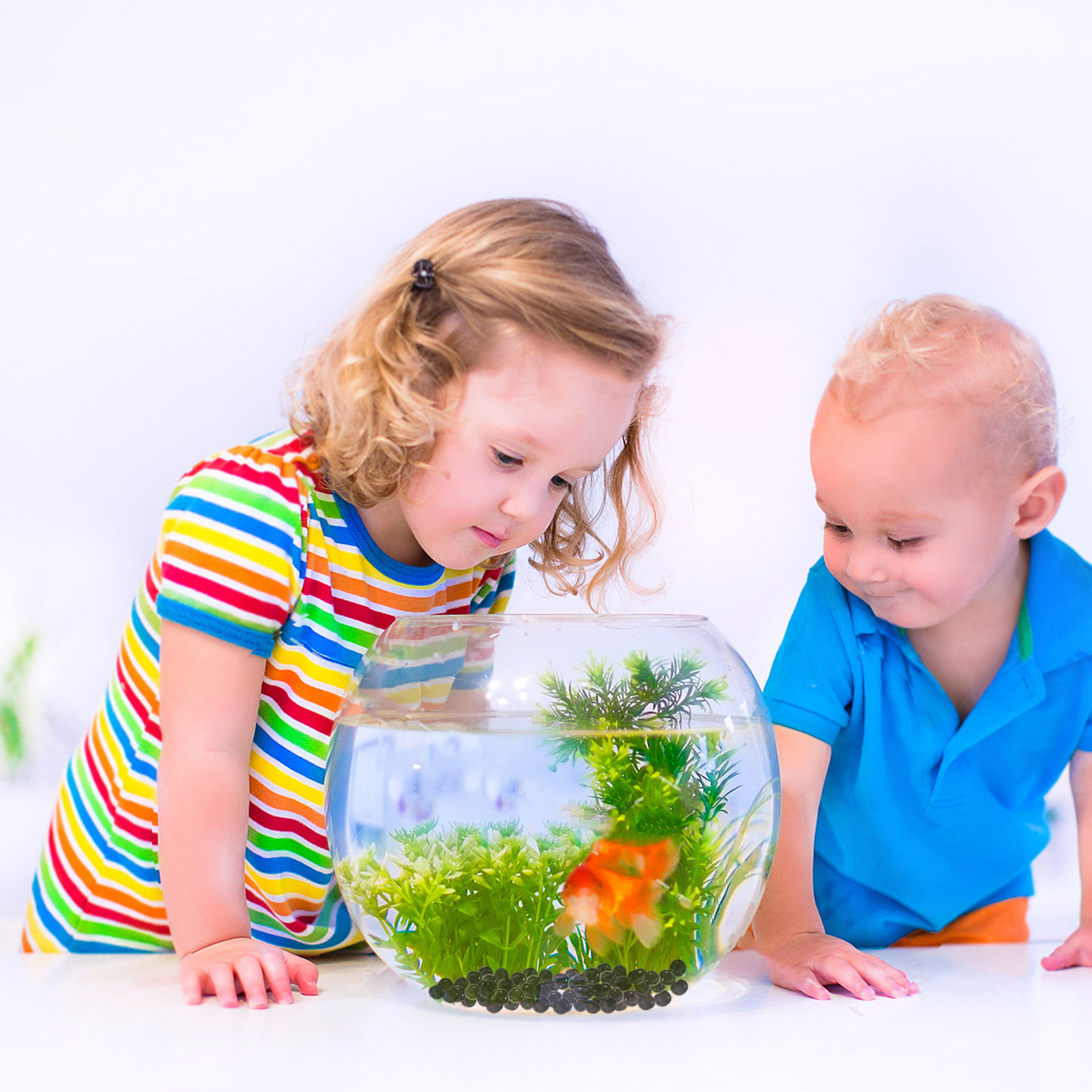 1Pack Aquarium Glass Beads Bla - đánh giá và giá Aquarium Planted Tank Soil