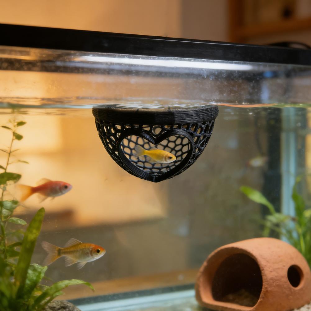 Heart-Shaped Aquarium Hideaway - đánh giá và giá Planted Aquarium Without Fish