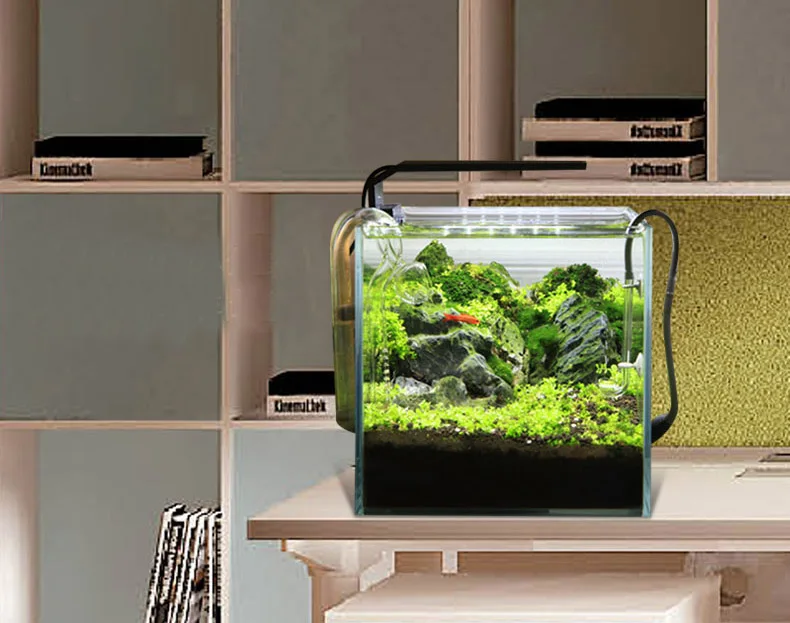 Chihiros C Series ADA Style Pl - đánh giá và giá Aquarium Plant Growth
