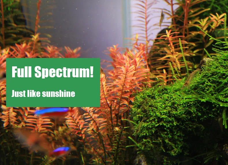 Chihiros C Series ADA Style Pl - đánh giá và giá Aquarium Plant Growth