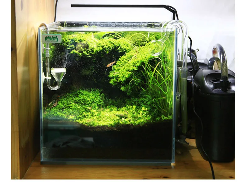 Chihiros C Series ADA Style Pl - đánh giá và giá Aquarium Plant Growth