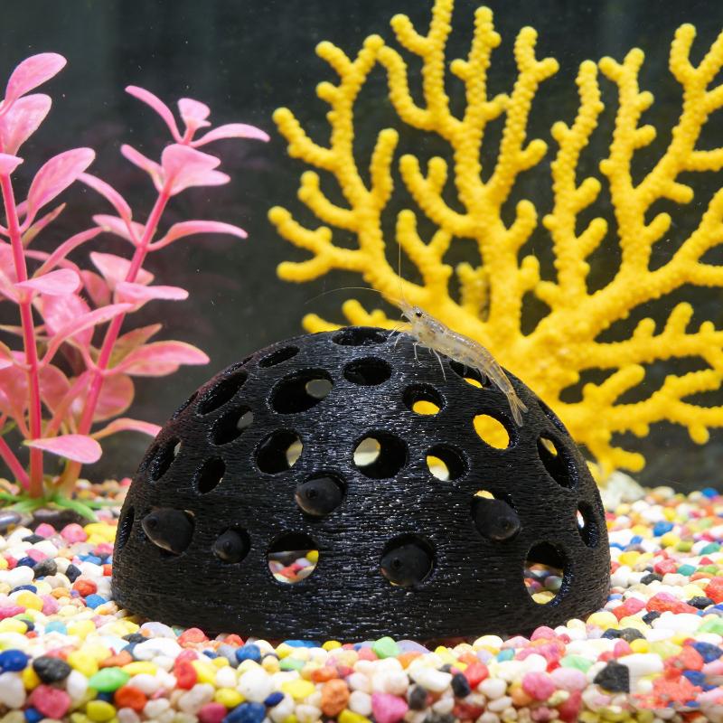 Aquarium Hidden Cave Shelter F - đánh giá và giá Aquarium Plant Growth