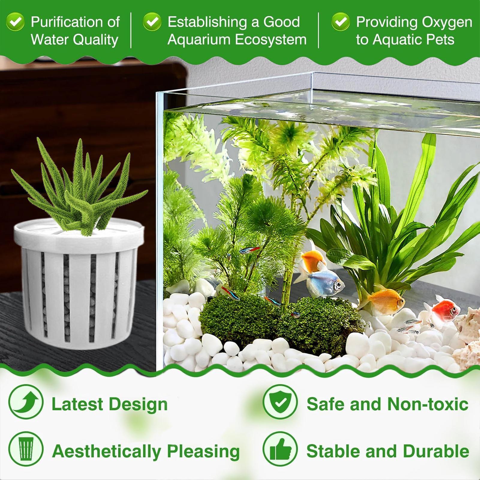 4 Pieces Aquarium Planter Pot  - đánh giá và giá Aquarium Plant Growth