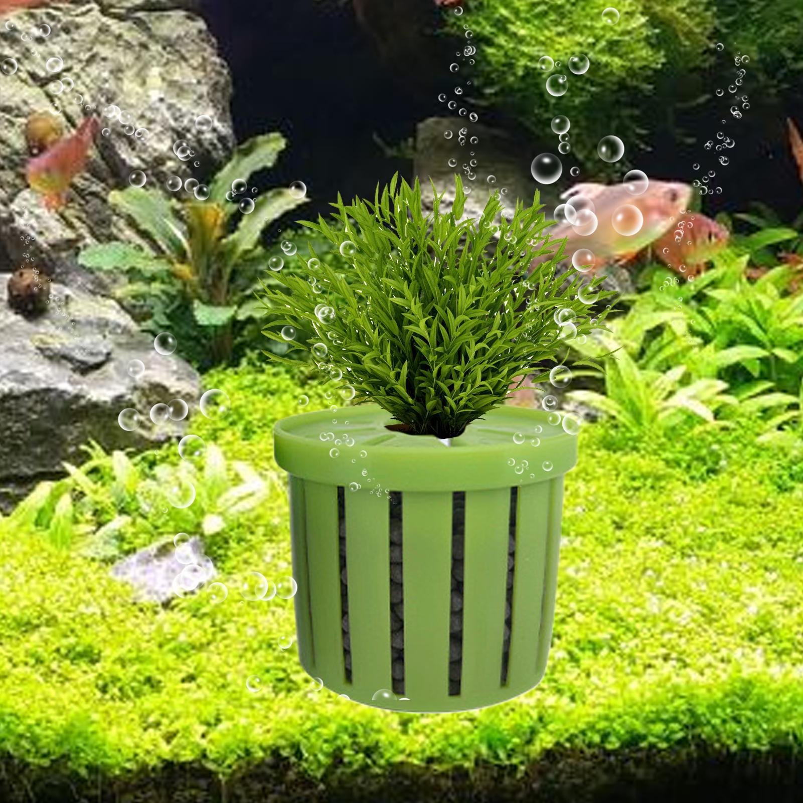 4 Pieces Aquarium Planter Pot  - đánh giá và giá Aquarium Plant Growth