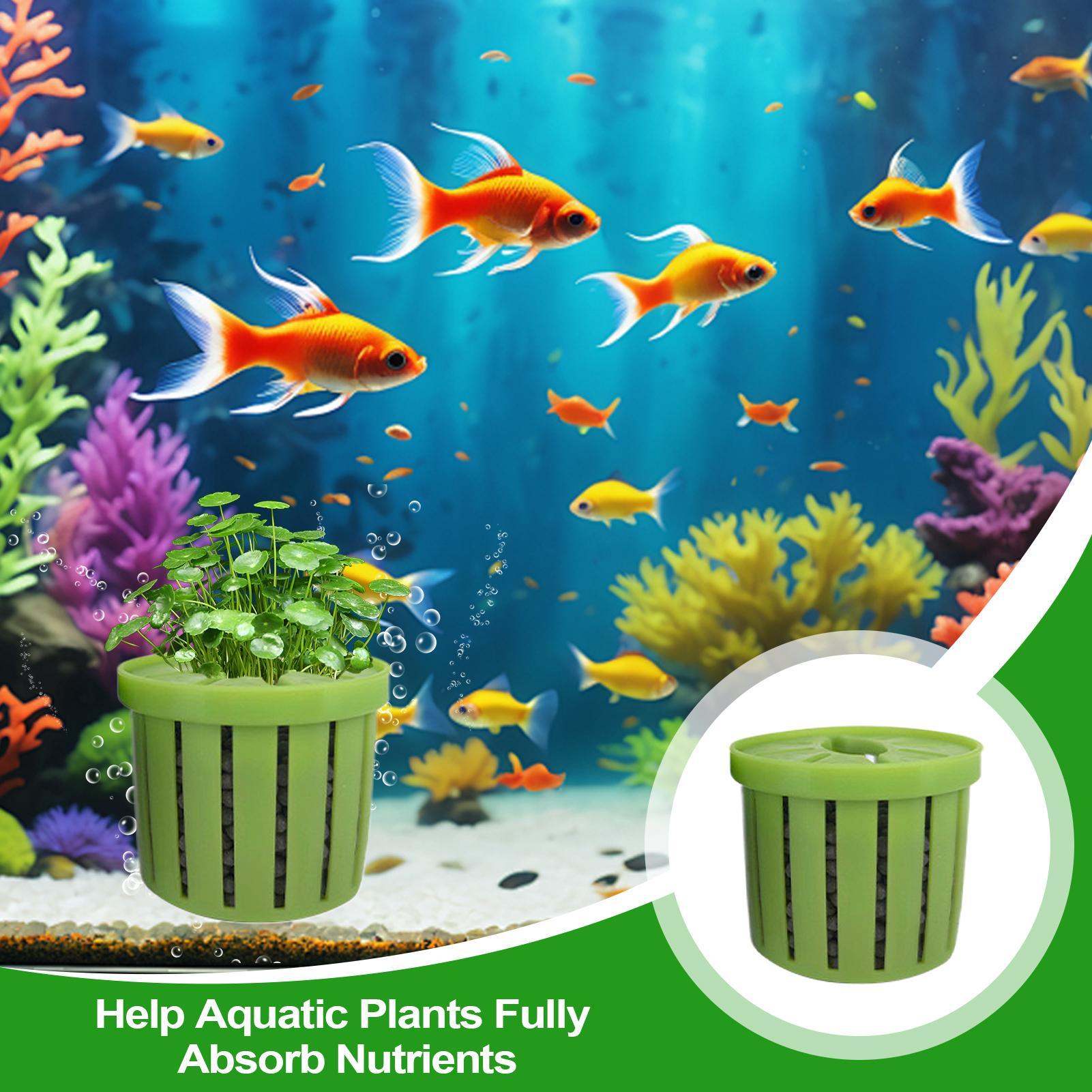 4 Pieces Aquarium Planter Pot  - đánh giá và giá Aquarium Plant Growth