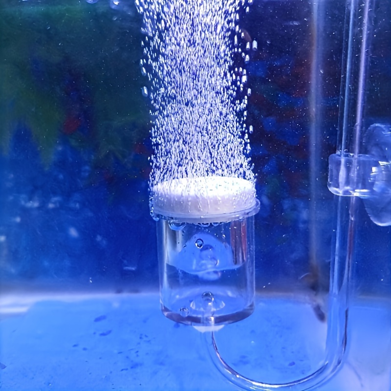 Aquarium Glass CO2 Atomizer Di - đánh giá và giá Planted Aquarium Equipment