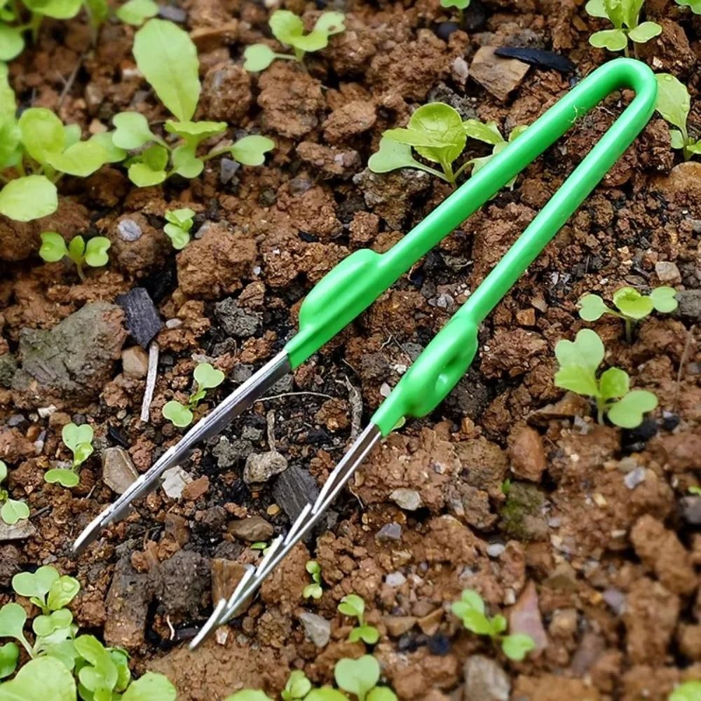 Stainless Steel Gardening Twee - đánh giá và giá Planted Clip Tweezers