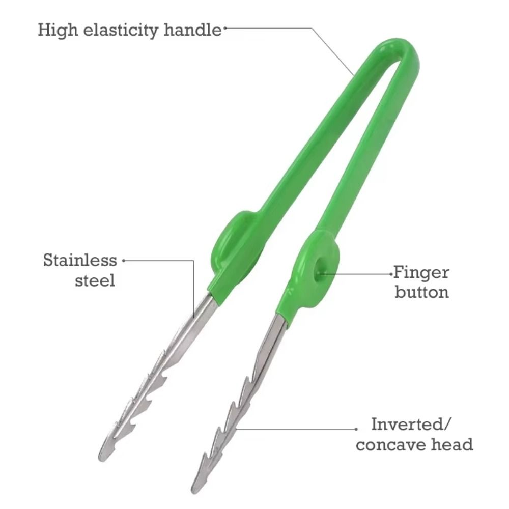 Stainless Steel Gardening Twee - đánh giá và giá Planted Clip Tweezers