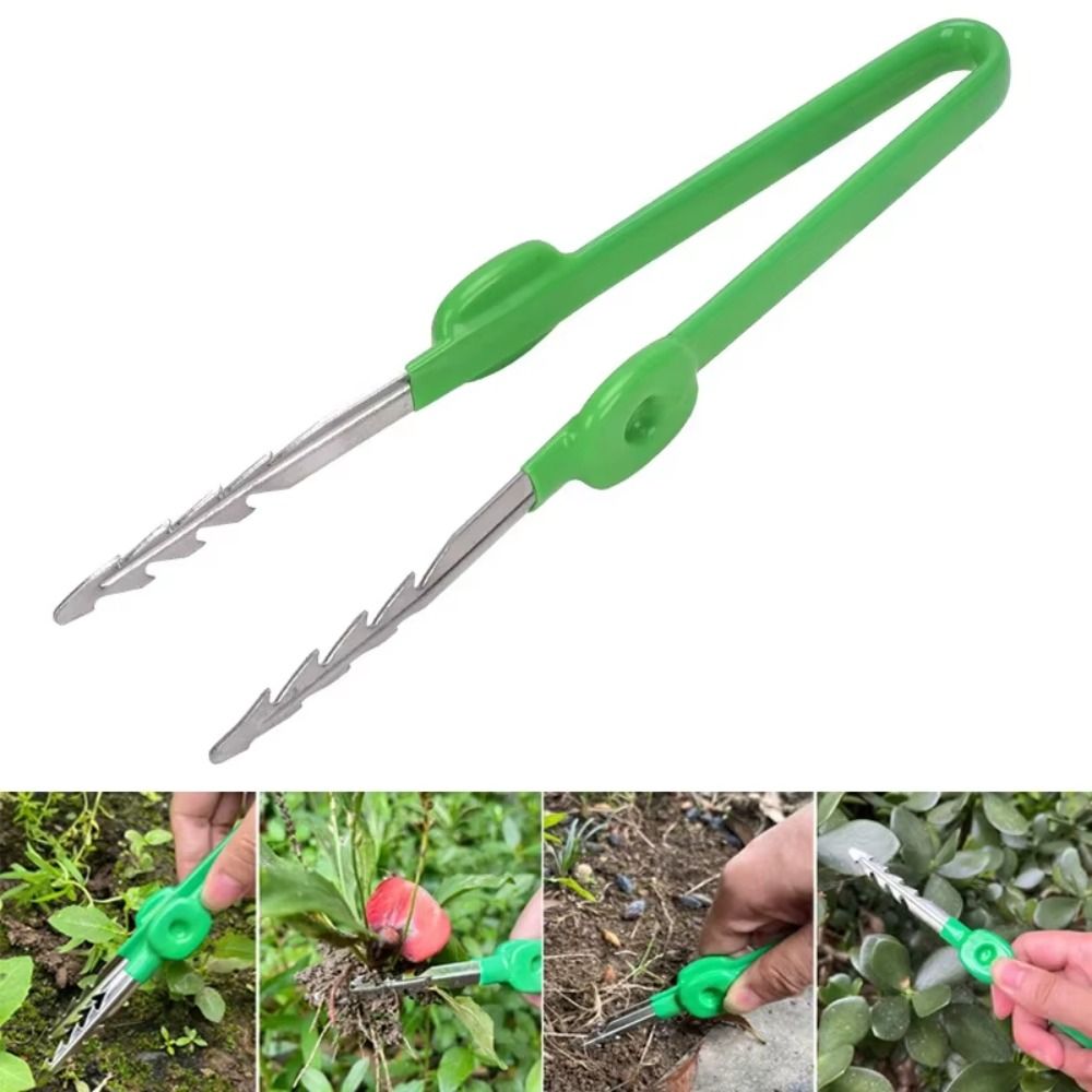 Stainless Steel Gardening Twee - đánh giá và giá Planted Clip Tweezers