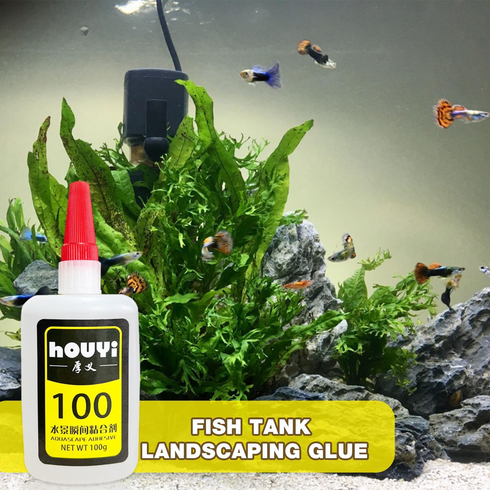 50/100g Clear Instant Glue Aqu - đánh giá và giá Aquarium Planted Plants