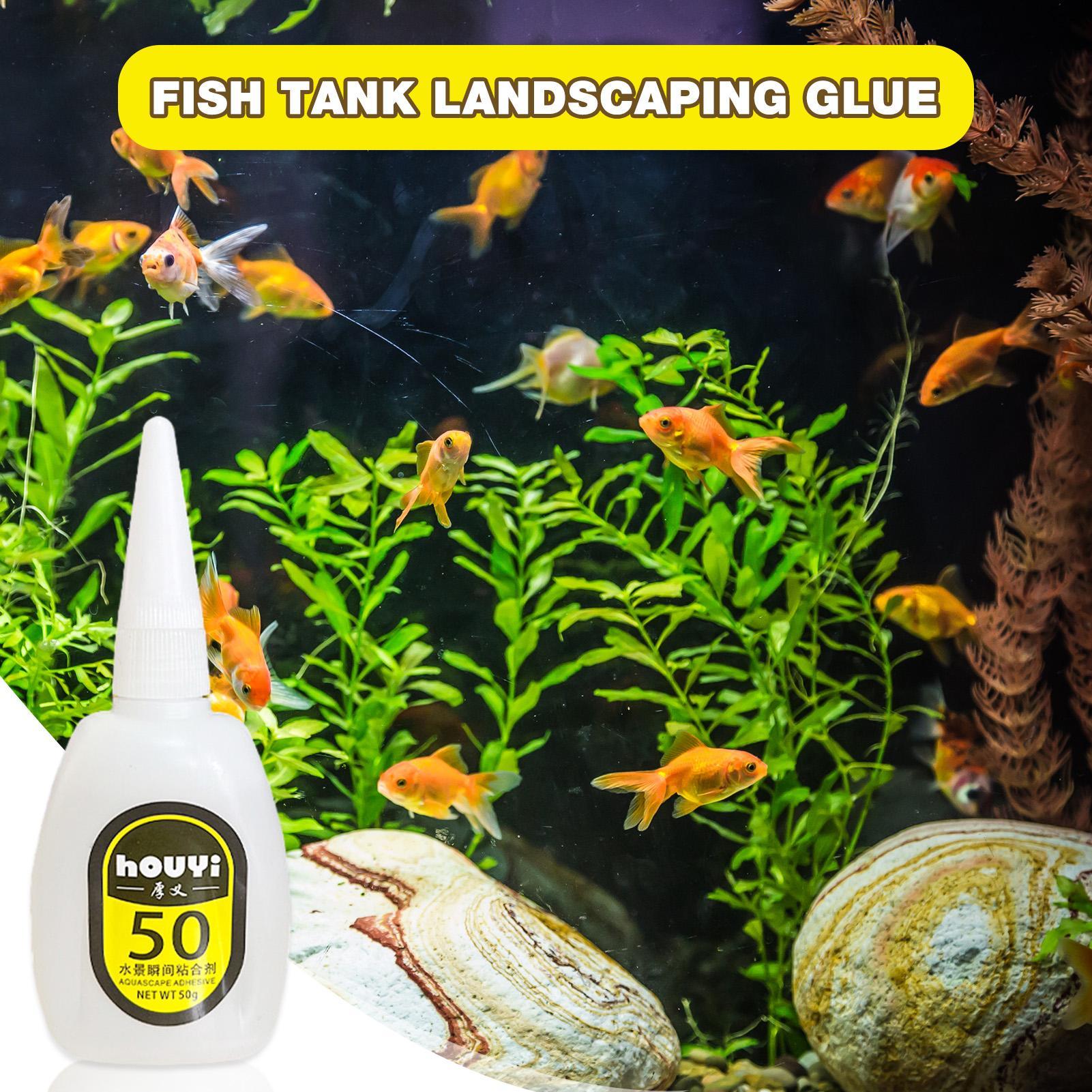 50/100g Clear Instant Glue Aqu - đánh giá và giá Aquarium Planted Plants