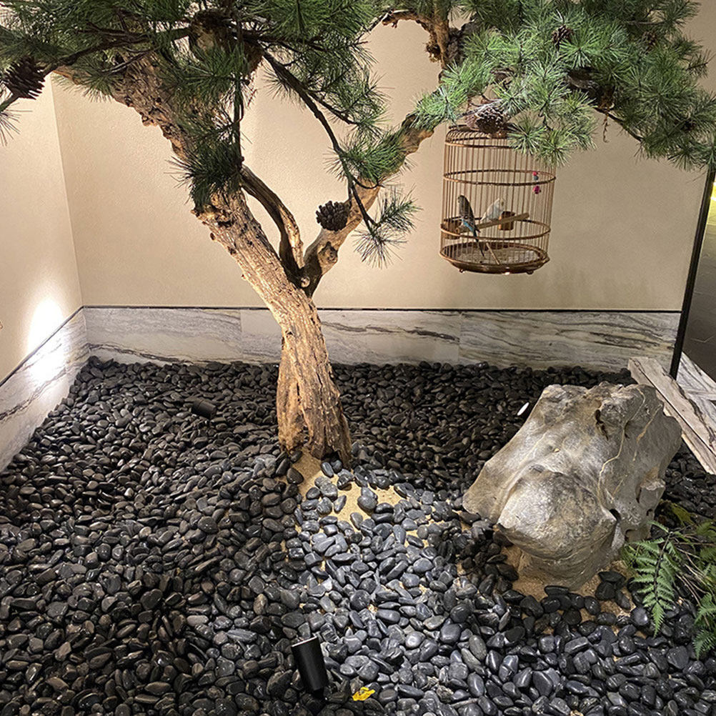 1Set Aquarium Pebbles Natural  - đánh giá và giá Aquarium Planted Plants