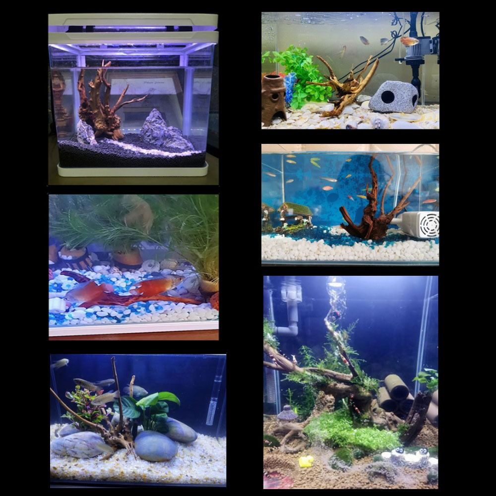 Natural Tree Trunk Aquarium De - đánh giá và giá Aquarium Plant Root Tabs