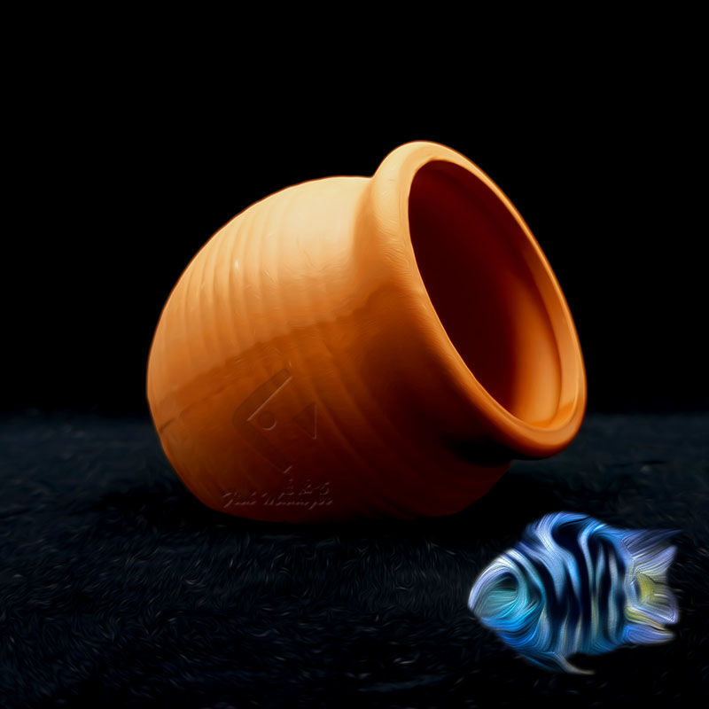 Bể Cá Cảnh Mini Gốm Bể Cá Tôm  - đánh giá và giá Aquarium Plant Growth