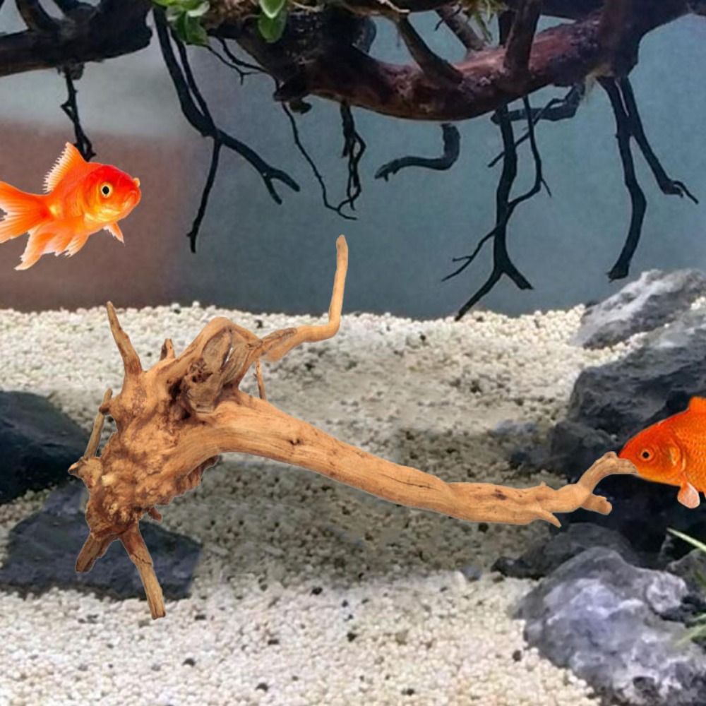 20-25CM Large Aquarium Driftwo - đánh giá và giá Aquarium Plant Guide