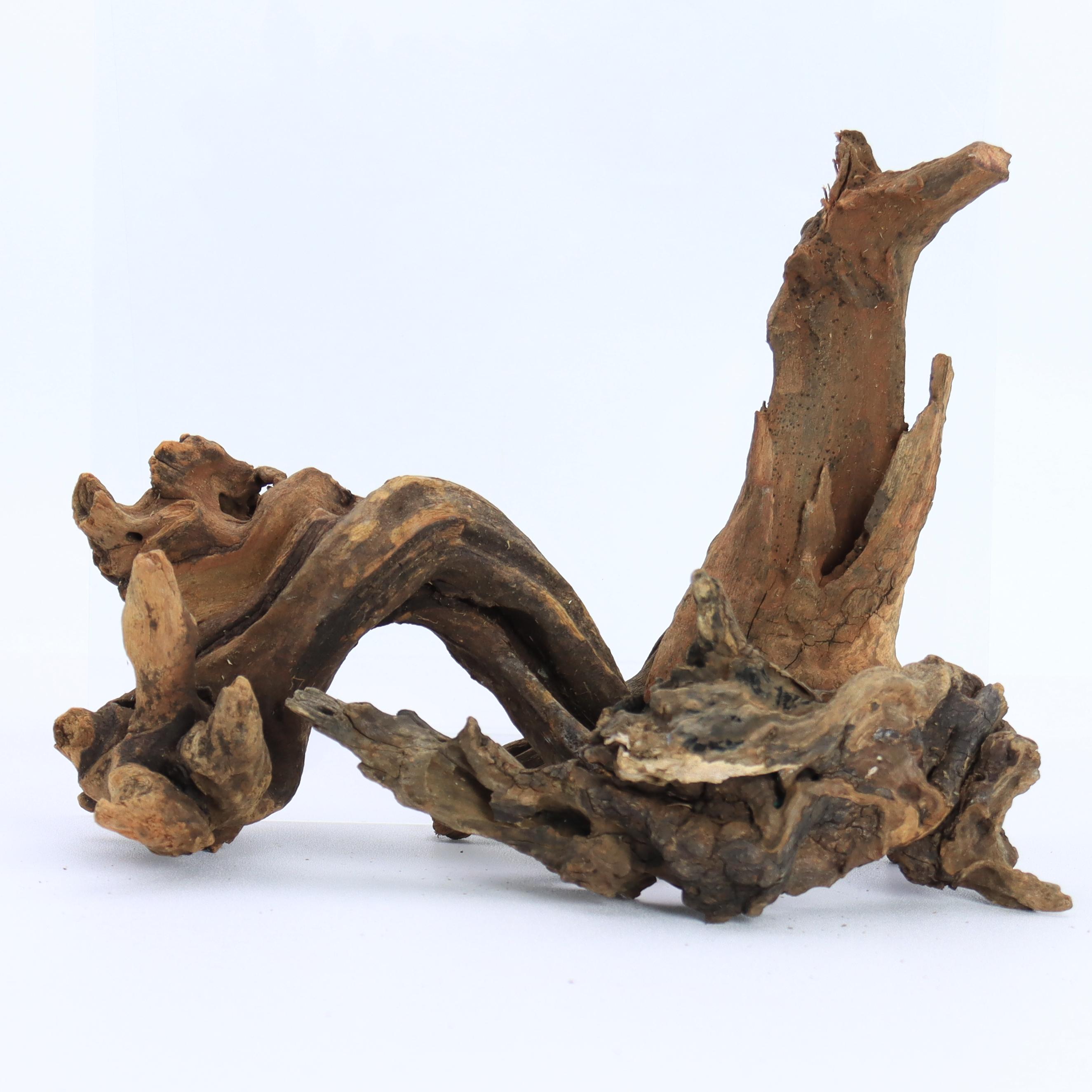 1pc Small Natural Driftwood fo - đánh giá và giá Aquarium Plant Root Tabs