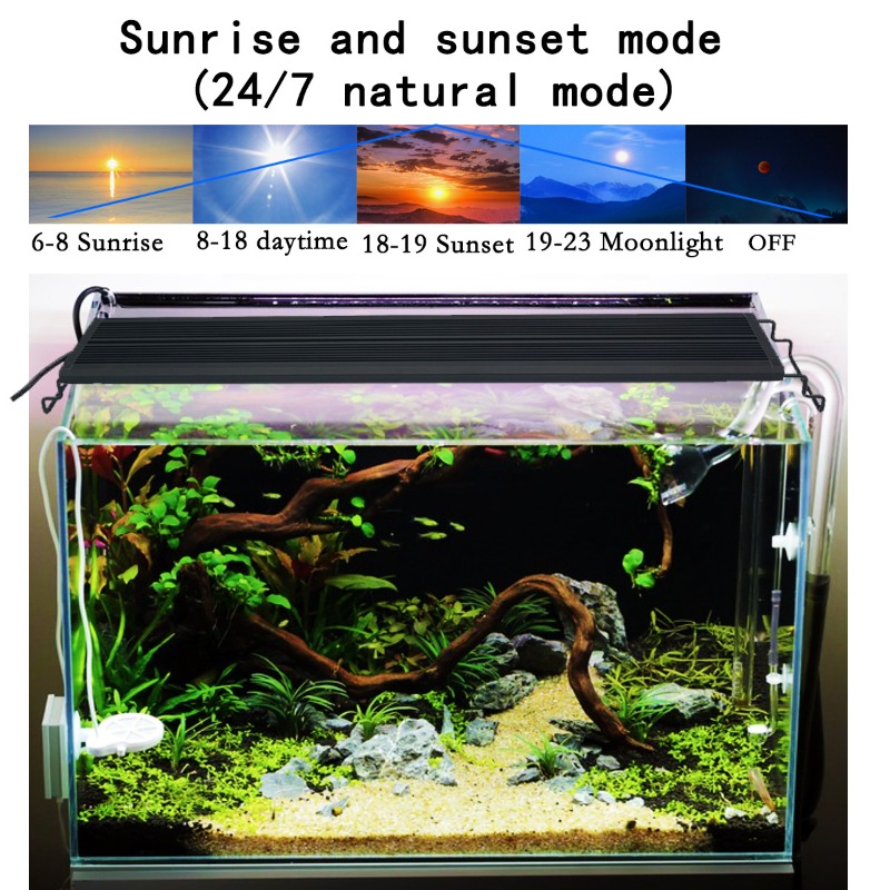 LED Fish Tank Light Full Spect - đánh giá và giá Led Planted Tank Light