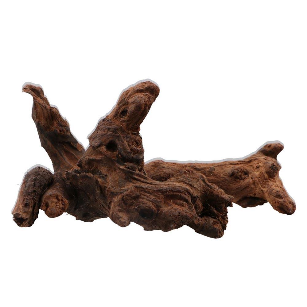 Creative Irregular Shape Coral - đánh giá và giá Aquarium Plant Root Tabs