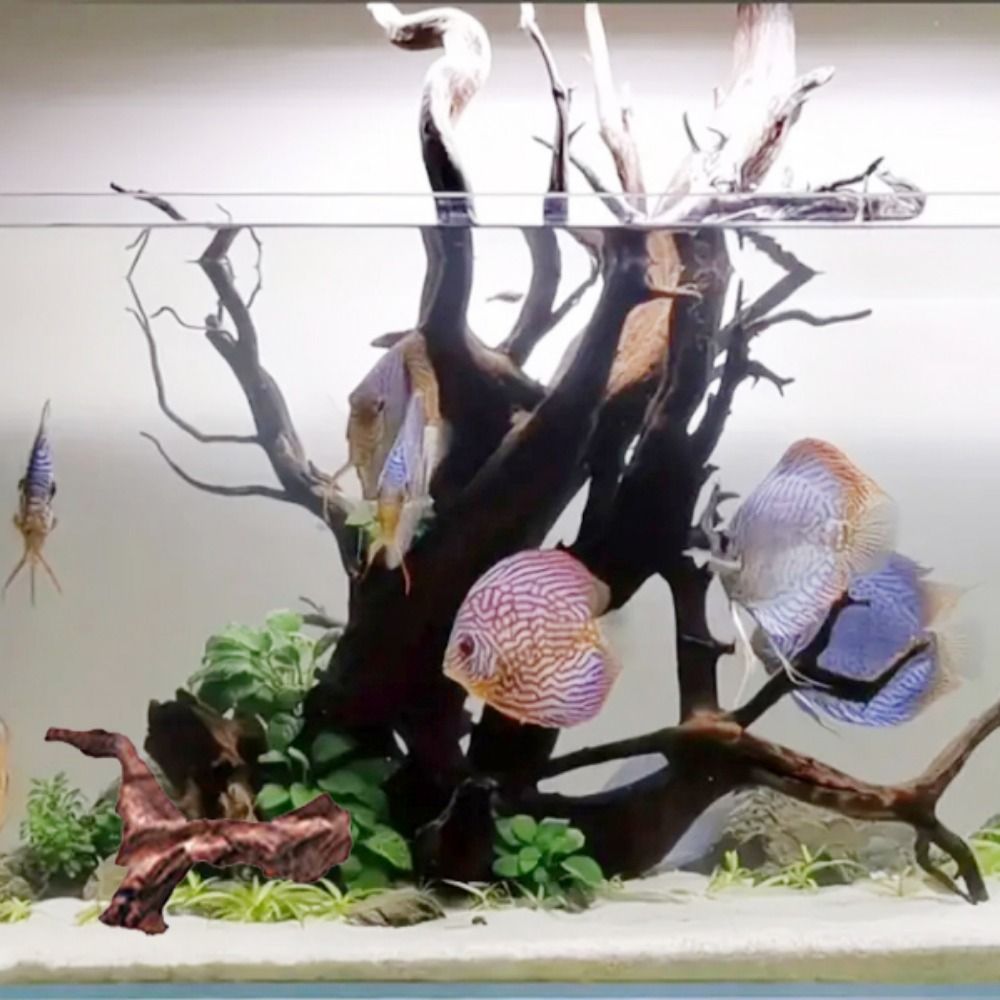 Creative Irregular Shape Coral - đánh giá và giá Aquarium Plant Root Tabs