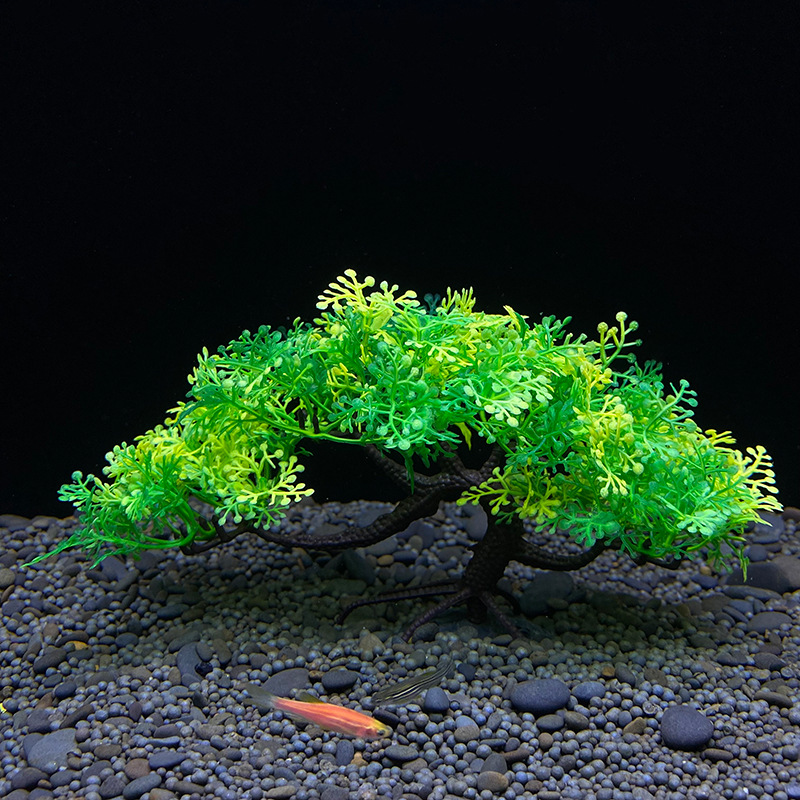 Aquarium bonsai tree, plant, f - đánh giá và giá Aquarium Plant Guide